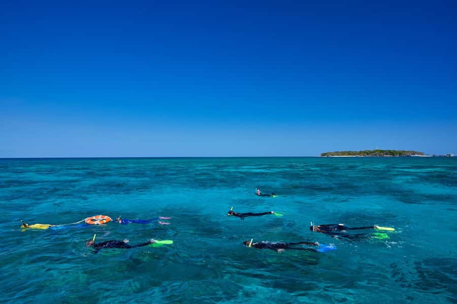 Cairns: Green Island Full-Day Tour with Diving - The Green Island beach break you’ll be glad you scheduled