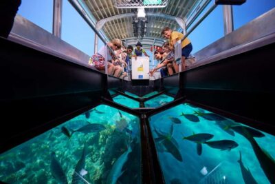 Cairns: Green Island Full-Day Tour with Diving - Reef viewing choices: snorkeling, glass-bottom, or semi-submarine