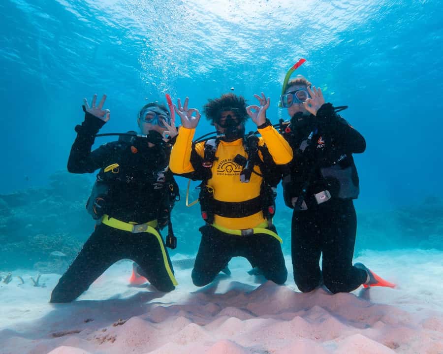 Cairns: Green Island Full-Day Tour with Diving - Scuba session options and what to expect for first-timers