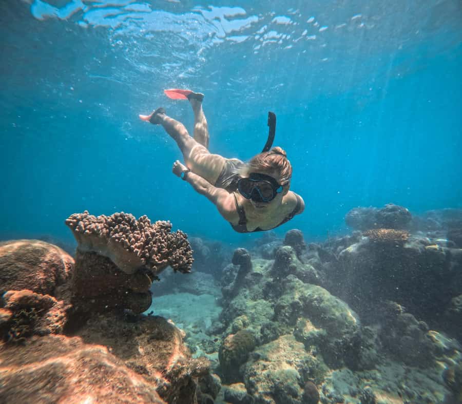 Cairns: Green Island Full-Day Tour with Diving - Timing, lunch, and how to keep the day from feeling rushed