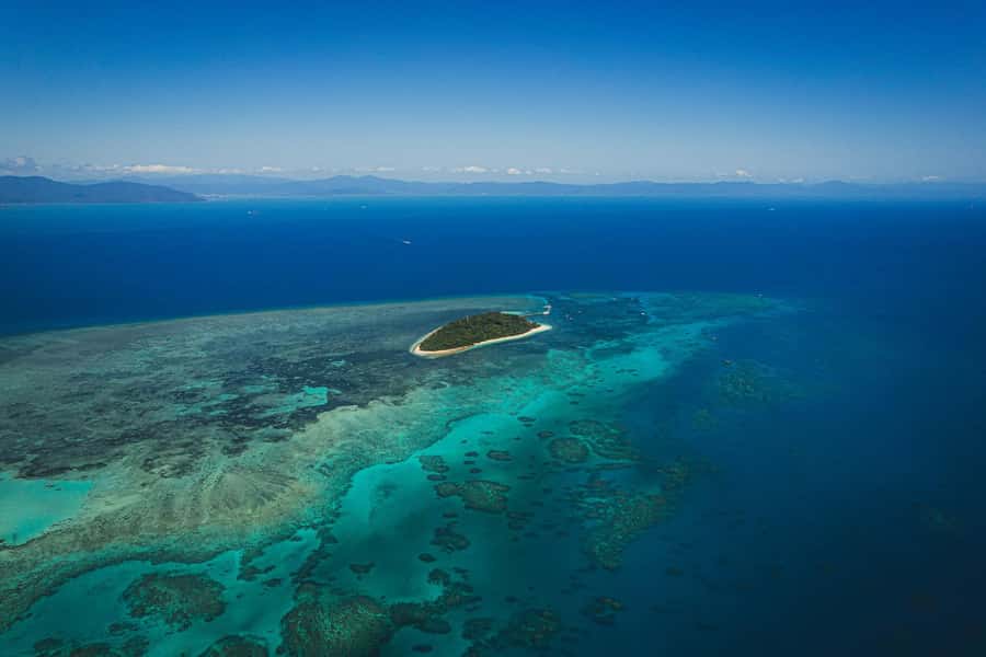 Cairns: Green Island Full-Day Tour with Diving - Price and value: is $175 worth it?