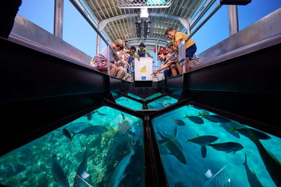 Cairns: Green Island Full-Day Tour with Diving - Reef viewing choices: snorkeling, glass-bottom, or semi-submarine