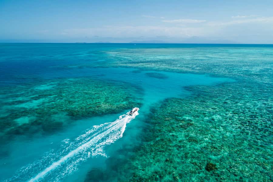 Cairns: Outer and Coral Cay Snorkel and Dive Cruise - Wonder Wall at Upolu Reef: Snorkeling With a Wall Near the Surface