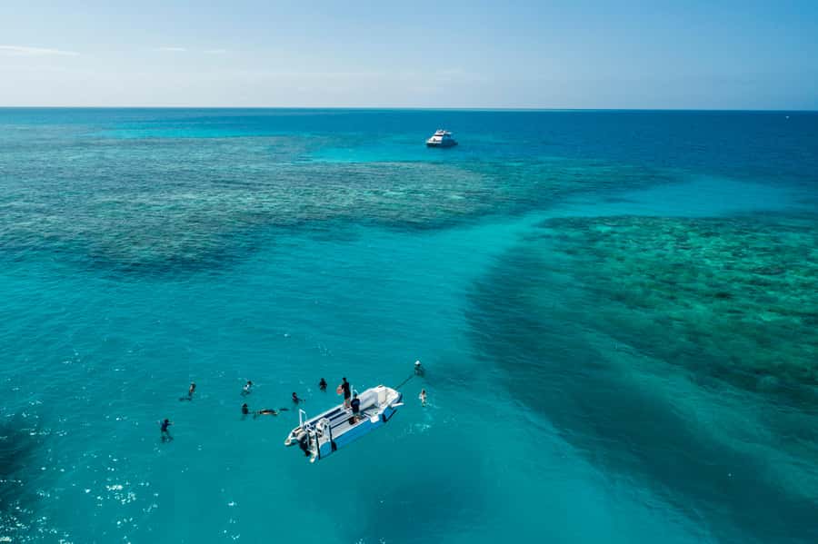 Cairns: Outer and Coral Cay Snorkel and Dive Cruise - Upolu Coral Cay Reef and the Aquarium-Style Stop