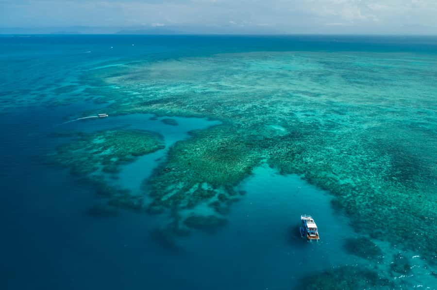 Cairns: Outer and Coral Cay Snorkel and Dive Cruise - Who This Tour Suits—and Who Might Want Another Option
