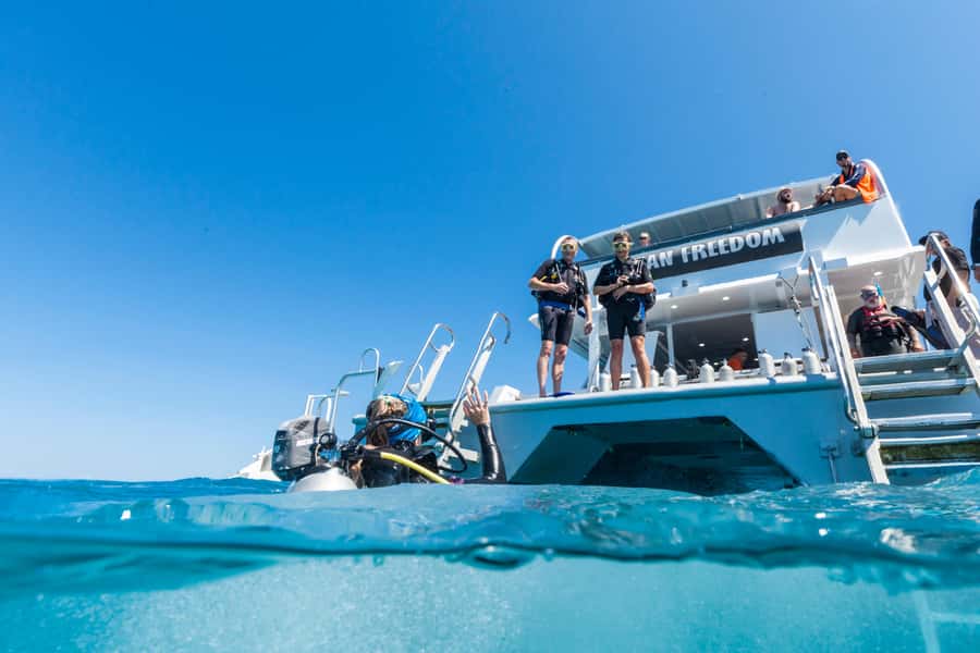 Cairns: Outer and Coral Cay Snorkel and Dive Cruise - Should You Book the Cairns Outer and Coral Cay Snorkel and Cruise?