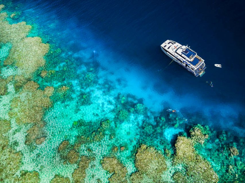 Cairns: Premium Snorkelling and Diving Reef Day Trip - Who this trip fits best (and who should look elsewhere)