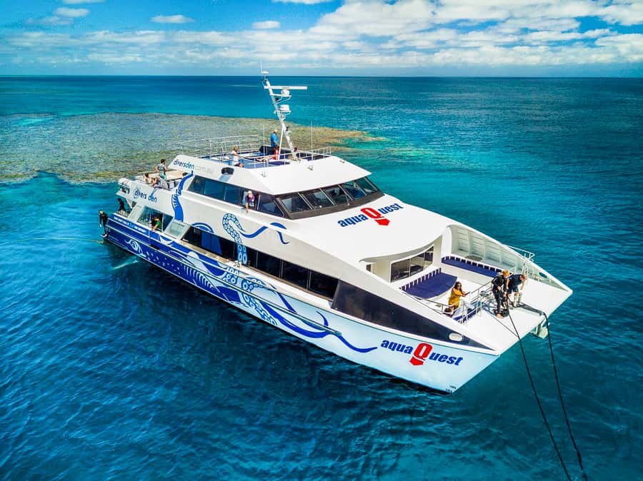 Cairns: Premium Snorkelling and Diving Reef Day Trip - From Cairns Marlin Marina to the outer reef: your day’s pacing