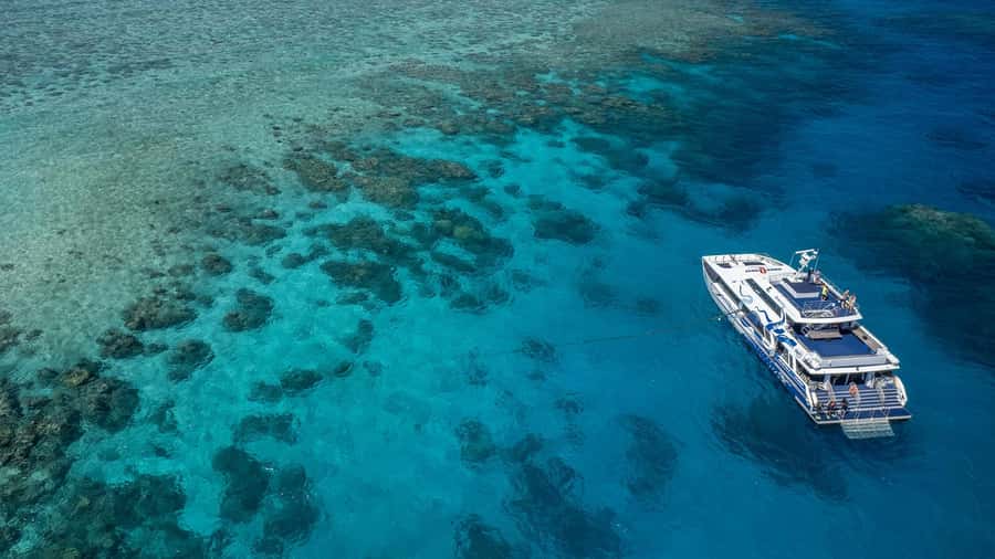 Cairns: Premium Snorkelling and Diving Reef Day Trip - The outer reef focus: two sites chosen from Norman, Saxon, Hastings