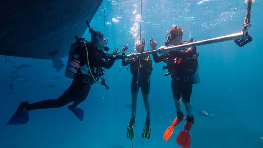 Cairns: Premium Snorkelling and Diving Reef Day Trip - Guided snorkeling that keeps you safe (and calmer in the water)