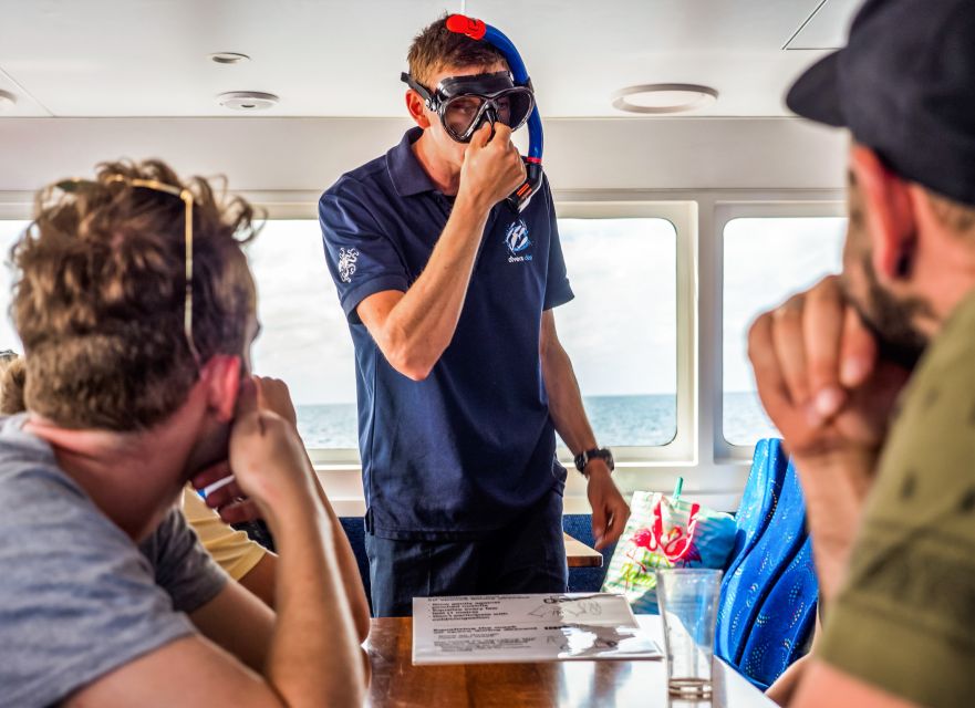 Cairns: Premium Snorkelling and Diving Reef Day Trip - Optional scuba time: when it’s offered and what you must know