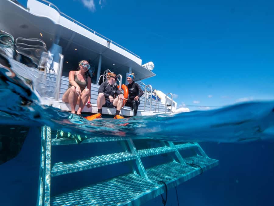 Cairns: Premium Snorkelling and Diving Reef Day Trip - Price and value: is $166 worth it for an outer-reef day?