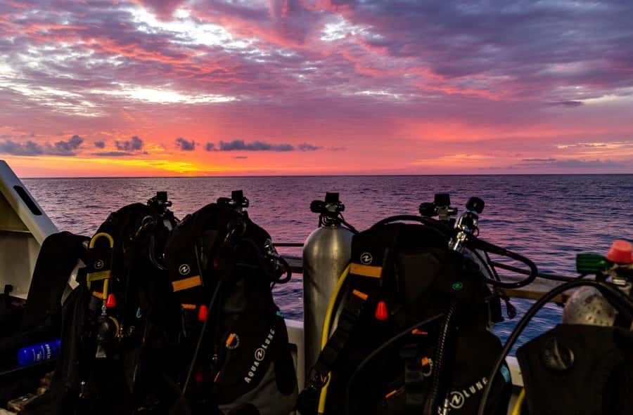 Cairns: Pro Dive 5 Day Learn to Dive Great Barrier Reef - Who this course suits best (and where it may not fit)