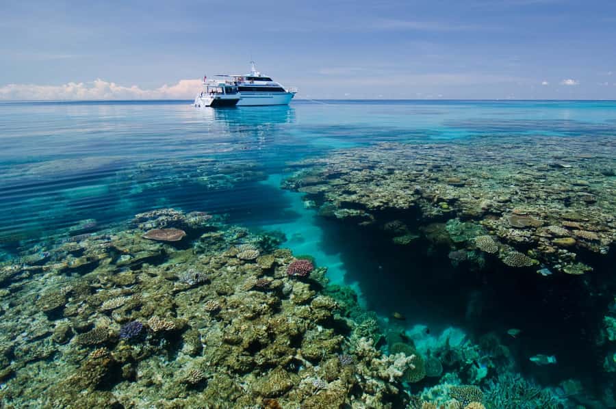 Cairns: Pro Dive Great Barrier Reef 3 Day/2 Night Dive Trip - Key Highlights You’ll Care About