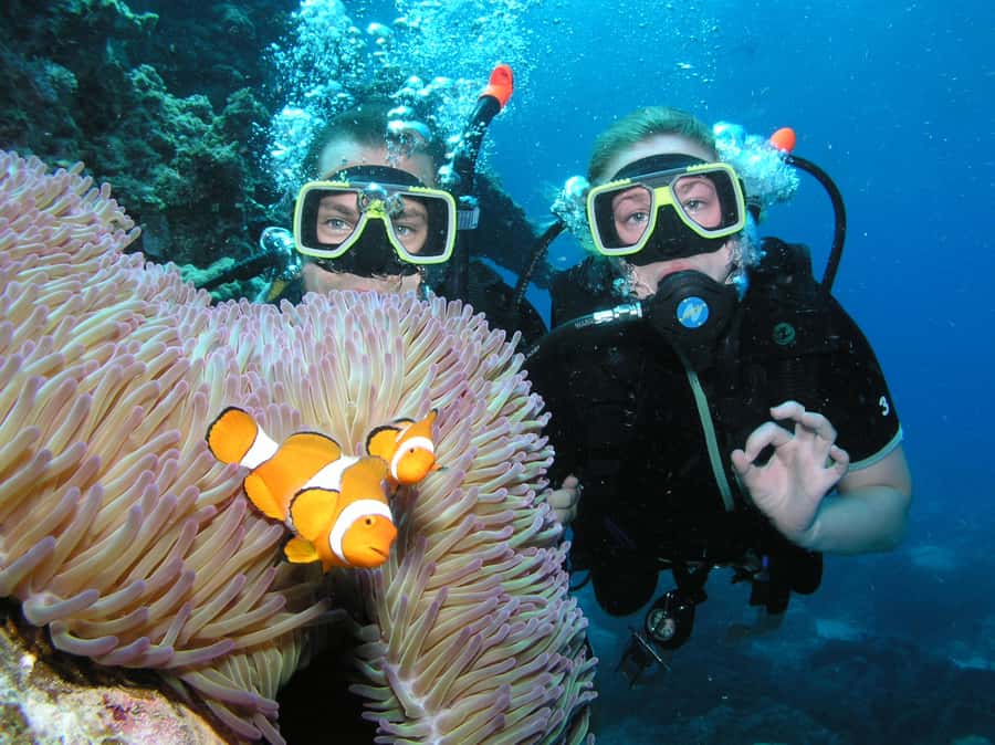 Cairns: Pro Dive Great Barrier Reef 3 Day/2 Night Dive Trip - Three Days on the Outer Reef: The Real Win of a Liveaboard Schedule