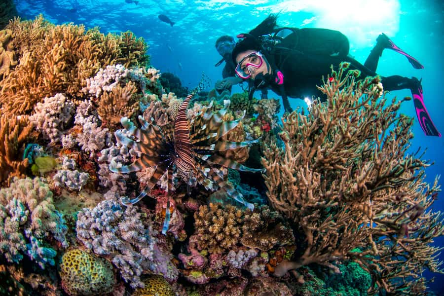 Cairns: Pro Dive Great Barrier Reef 3 Day/2 Night Dive Trip - Gear, Equipment Support, and Confidence Tips (Especially for Navigation)