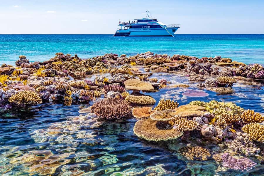 Cairns: Pro Dive Great Barrier Reef 3 Day/2 Night Dive Trip - Packing Checklist for Cairns Reef Days