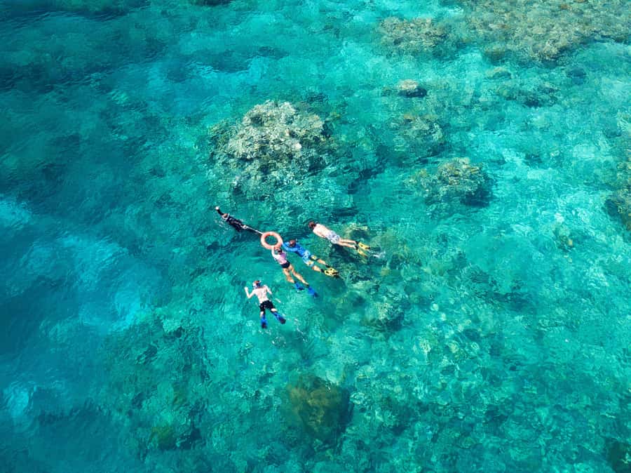 Cairns: Snorkelling and Diving Reef Day Trip - Outer Great Barrier Reef Day Trip: what you’re really paying for