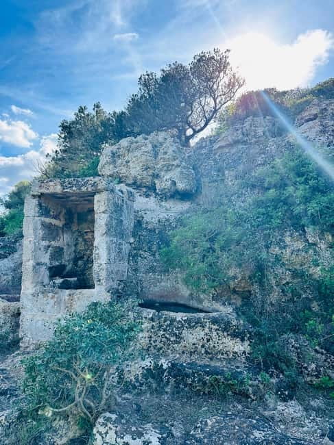 Cala en Blanes: Secret spots for the best dives with a local guide - Planned water stops: rock jumping that matches your family’s comfort level
