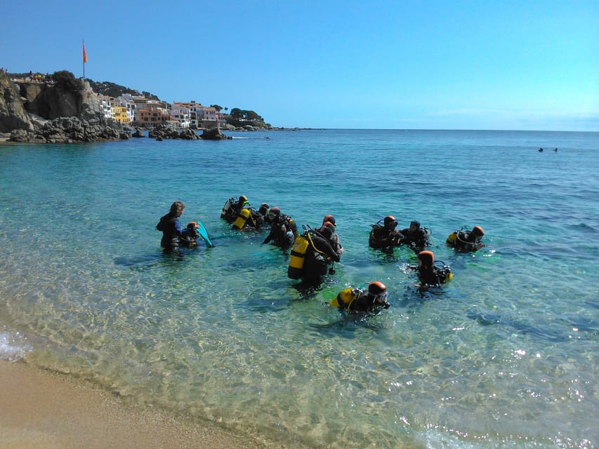 Calella de Palafrugell : Discover Scuba Diving Experience - Two Underwater Sessions Wrapped Into a 2-Hour Course