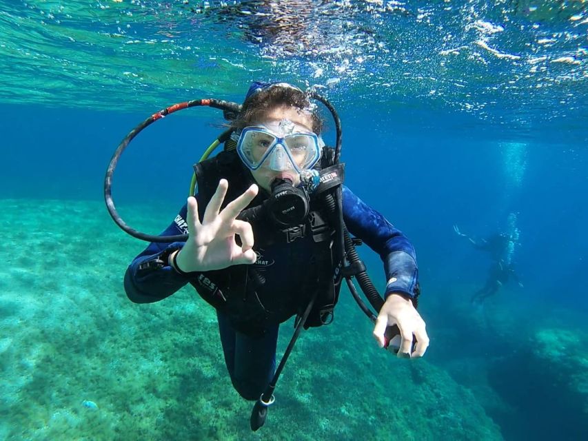 Calvi: Introduction to Diving Dive with an Instructor - Speedboat Time on the Gulf of Calvi