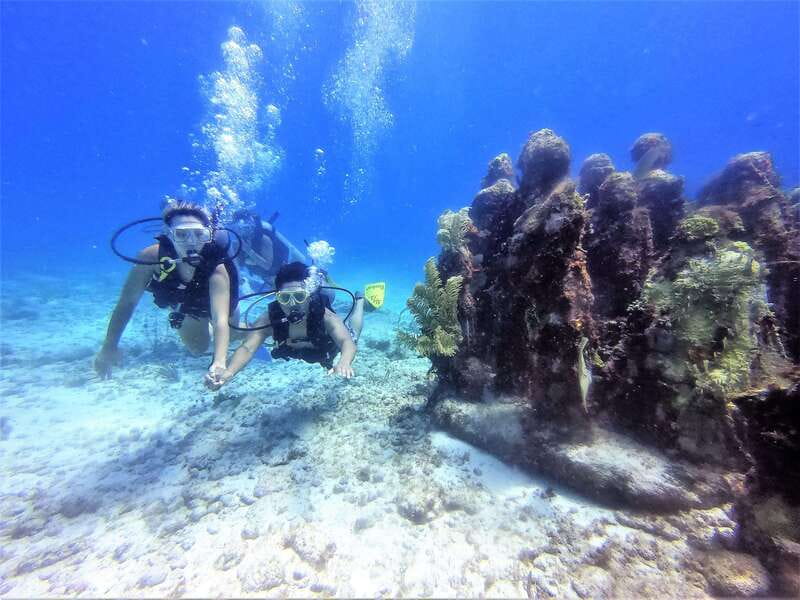 Cancun: 2-Tank Dive for Beginners with MUSA and Reef Dive - Key points I’d circle before you book