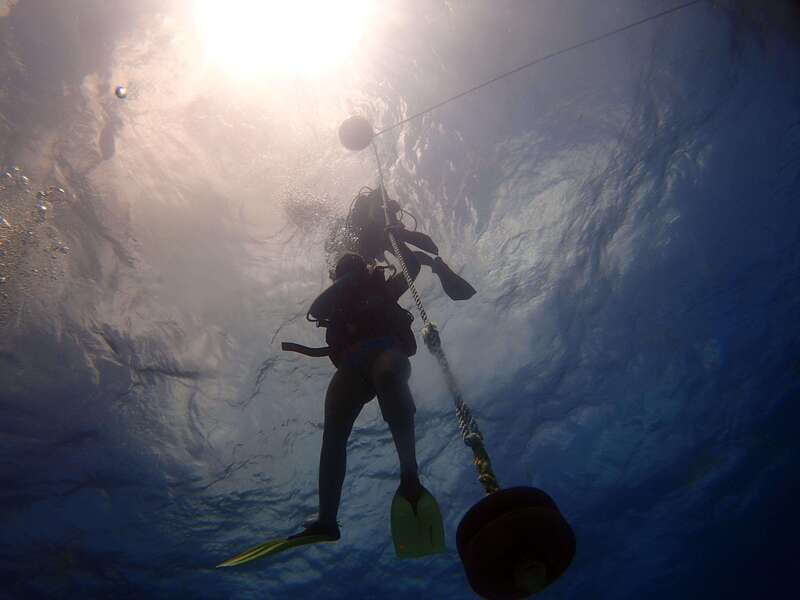 Cancun: 2-Tank Dive for Beginners with MUSA and Reef Dive - Price and Value: Is $157 a Good Deal?