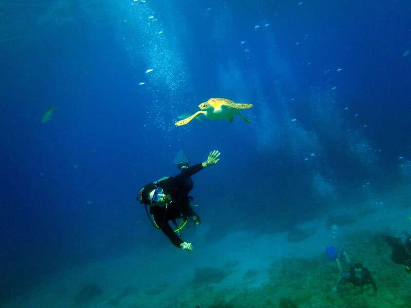 Cancun: 2-Tank Dive for Beginners with MUSA and Reef Dive - Pool Practice: Training That Mimics Open Water
