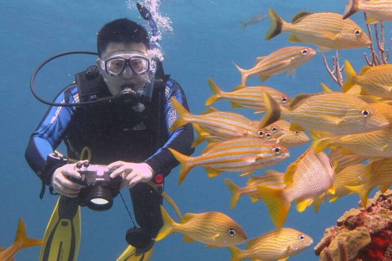 Cancun: Beginner Scuba Diving at Underwater Museum - Gear, water, and what’s actually included