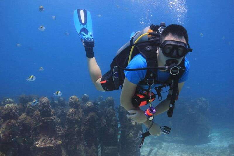 Cancun: Dive Underwater Museum & Manchones Reef - Underwater Museum: how the sculptures work like a living gallery