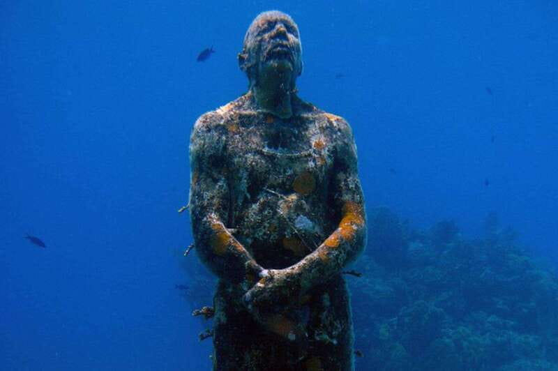 Cancun: Dive Underwater Museum & Manchones Reef - Price and value: is $119 a fair deal?