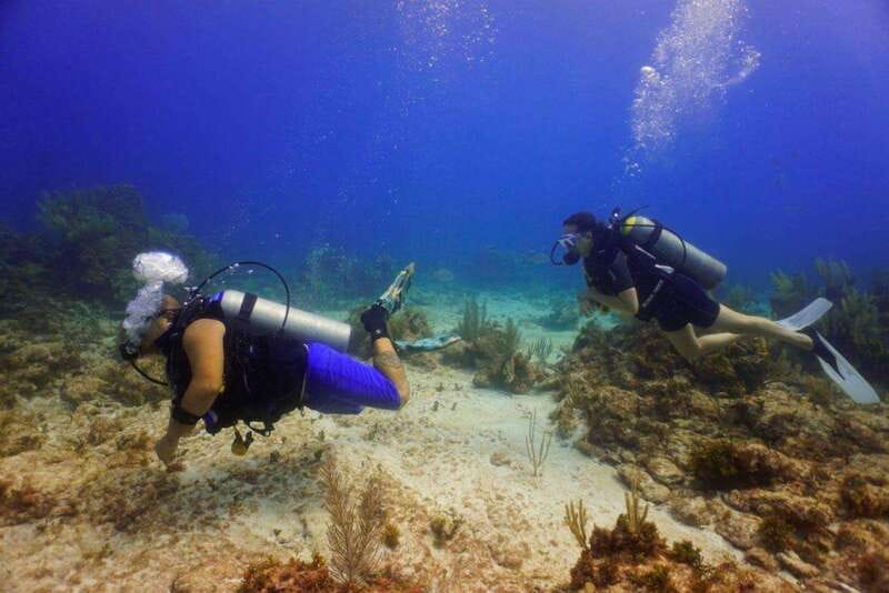 Cancun: MUSA Diving for certified divers morning dive trip - Key things to know before you book