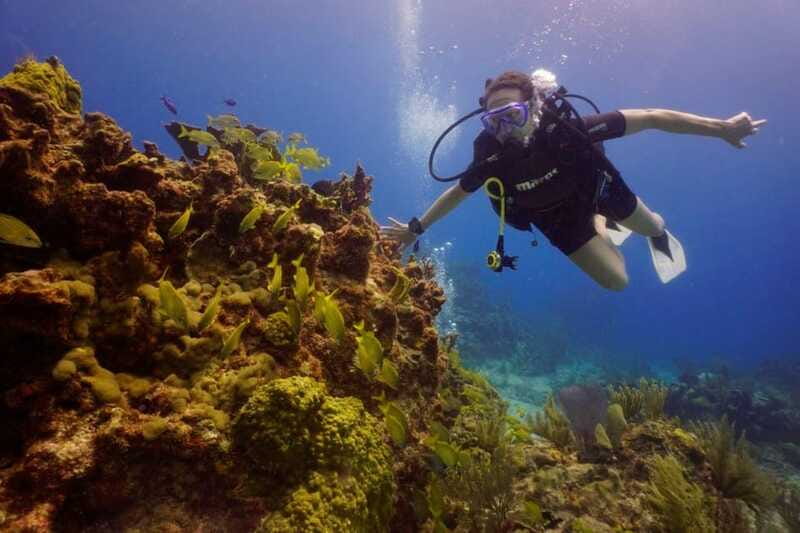 Cancun: MUSA Diving for certified divers morning dive trip - On the Boat With Included Gear and Small Groups
