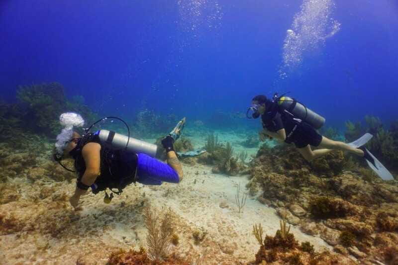 Cancun: MUSA Diving for certified divers morning dive trip - Who This Trip Fits Best (And Who Should Skip It)