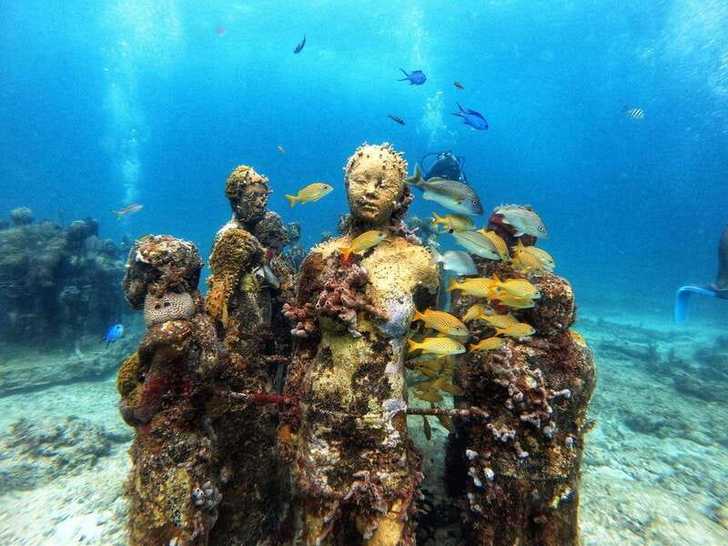 Cancun: Musa Underwater Museum & Reef Discover Scuba Diving - Safety Briefing + Pool Practice: The Real Reason Beginners Do Better