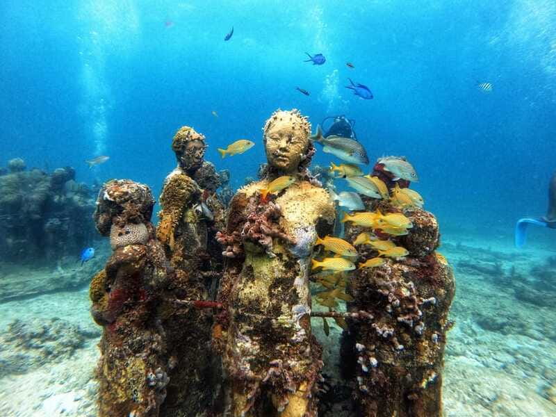 Cancun: Musa Underwater Museum & Reef Discover Scuba Diving - Underwater Museum Time at MUSA: Art, Scale, and How You’ll Actually Notice It
