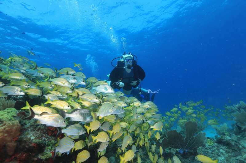 Cancun: Scuba Diving for Beginners, 2 Dives - Your First Tank at MUSA Underwater Museum