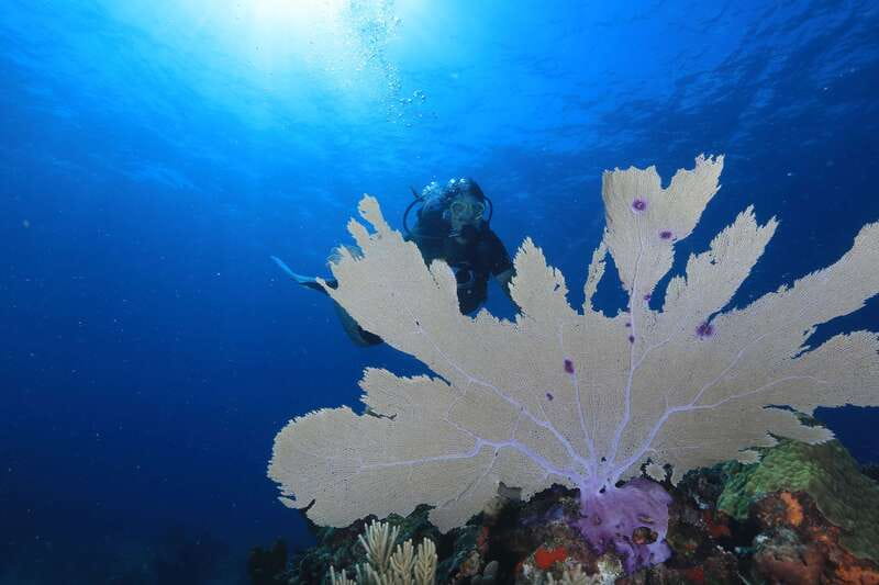 Cancun: Scuba Diving for Beginners, 2 Dives - Equipment and Boat Reality: What’s Included and What’s Not