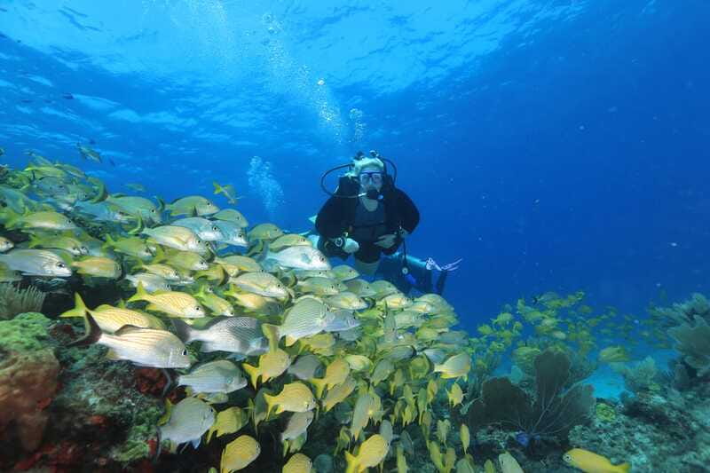 Cancun: Scuba Diving for Beginners, 2 Dives - Meeting Point: Where to Go Before the Boat Departs