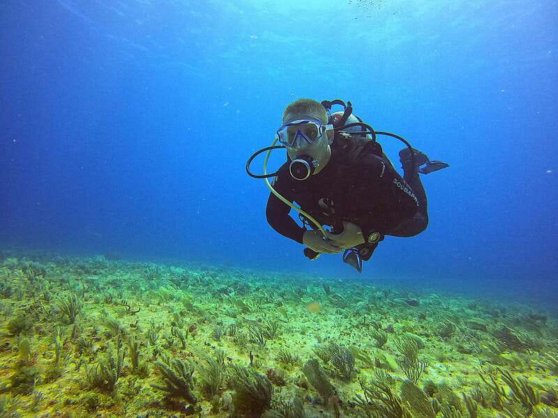Cancun: Scuba Diving for Certified Divers, 3 options to dive - How the 4-hour Cancun scuba plan runs for certified divers