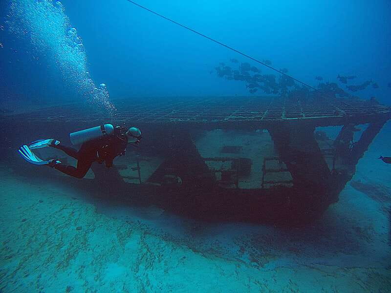 Cancun: Scuba Diving for Certified Divers, 3 options to dive - Marine life you can realistically expect in Cancun waters