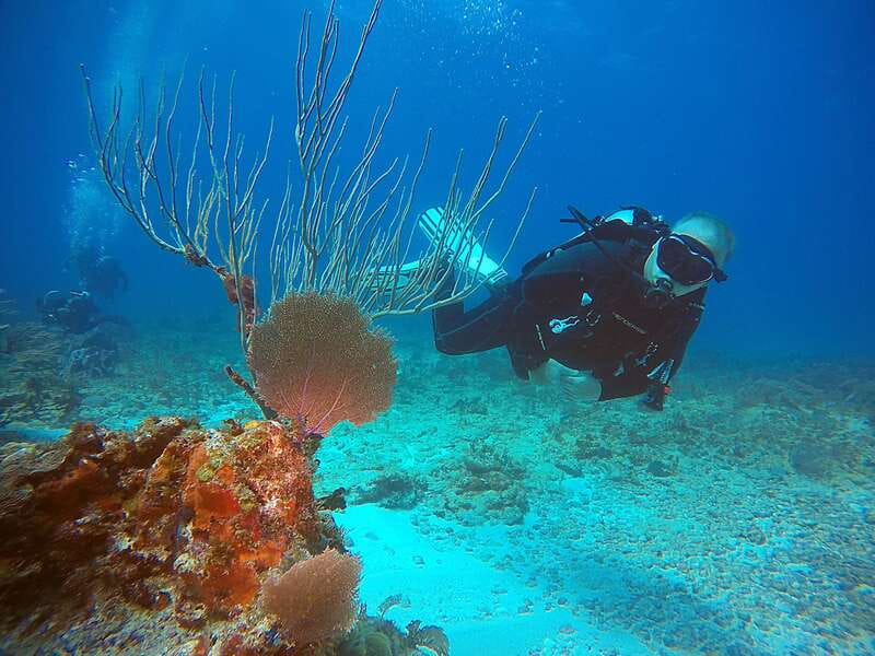 Cancun: Scuba Diving for Certified Divers, 3 options to dive - Gear and rules that keep the day smooth (and protect the ocean)