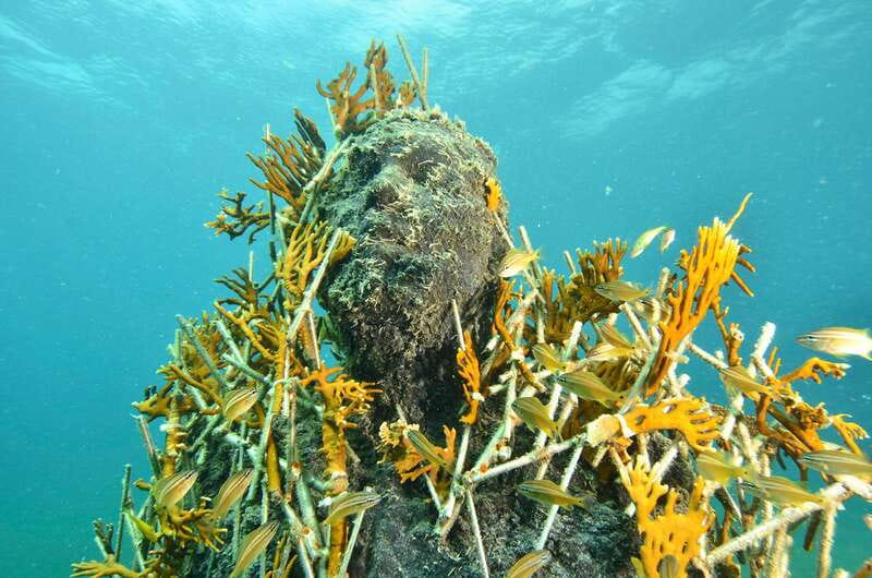Cancún: Underwater Museum & Reef for Certified Scuba Divers - Cancun Underwater Museum and Manchones Reef: a rare art-meets-sea setup