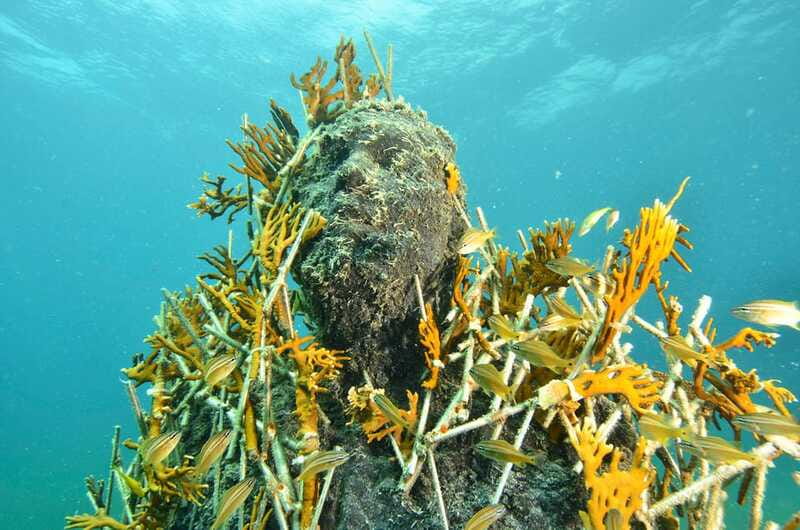 Cancún: Underwater Museum & Reef for Certified Scuba Divers - First tank at Manchones Reef: 470+ coral-covered statues at about 30 feet