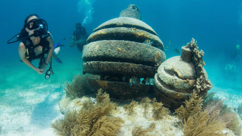 Cancún: Underwater Museum & Reef for Certified Scuba Divers - Second tank over a living reef: fish, turtles, and that Cancun color