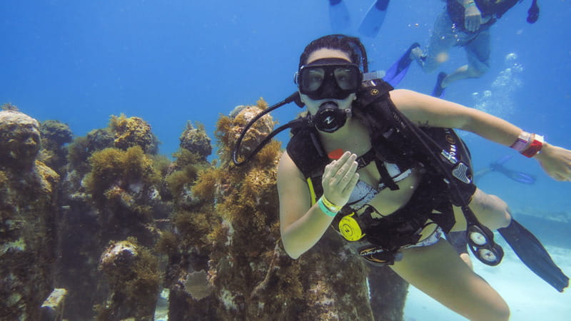 Cancún: Underwater Museum & Reef for Certified Scuba Divers - What’s included vs. not included (so there are no surprises)