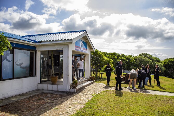 Cape Shark Diving Adventures - Comfort after the experience: warm showers, towels, and a view