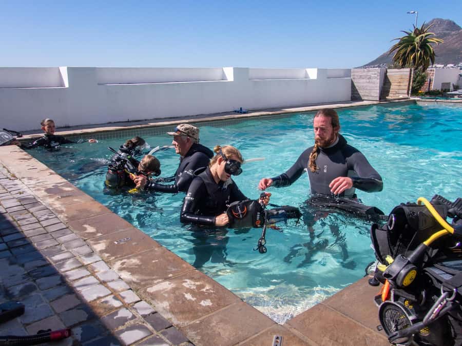 Cape Town: Discover Scuba Diving - 1 day experience - Quick hits before you book