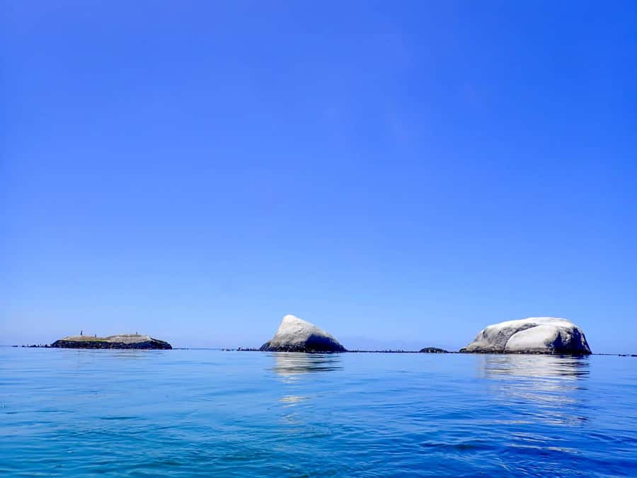 Cape Town: Discover Scuba Diving - 1 day experience - Why this PADI Discover Scuba experience works for first-timers