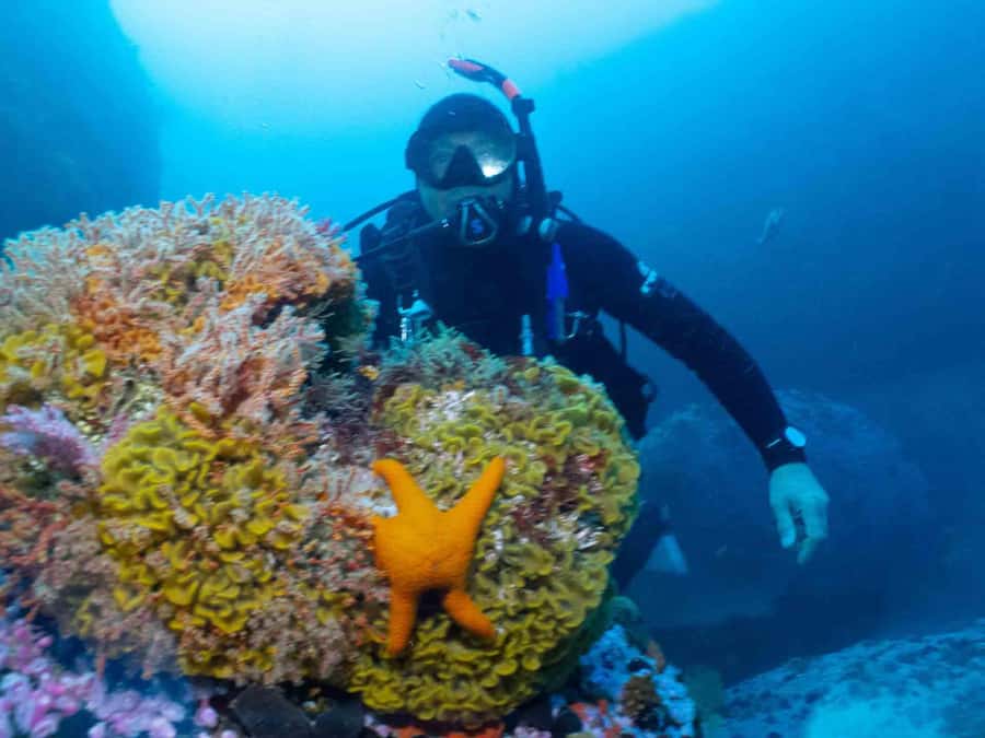 Cape Town: Discover Scuba Diving - 1 day experience - Learning scuba equipment and practice in shallow water